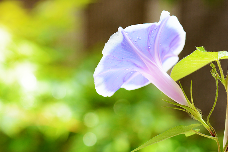 高校生の夏休み勉強時間はどのくらい?学年別の目安と大学受験に向けた効率的な勉強法