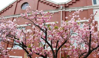 春休みが合否を左右する！大学受験に向けて高校生が今取り組むべき3つの準備