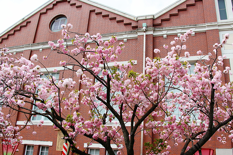 春休みが合否を左右する！大学受験に向けて高校生が今取り組むべき3つの準備